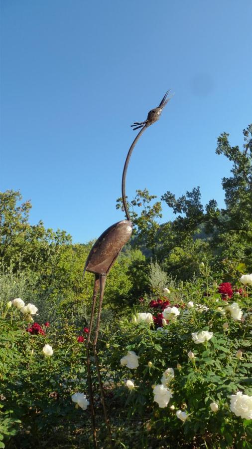 Le Vallon Des Oliviers Montauroux Zewnętrze zdjęcie