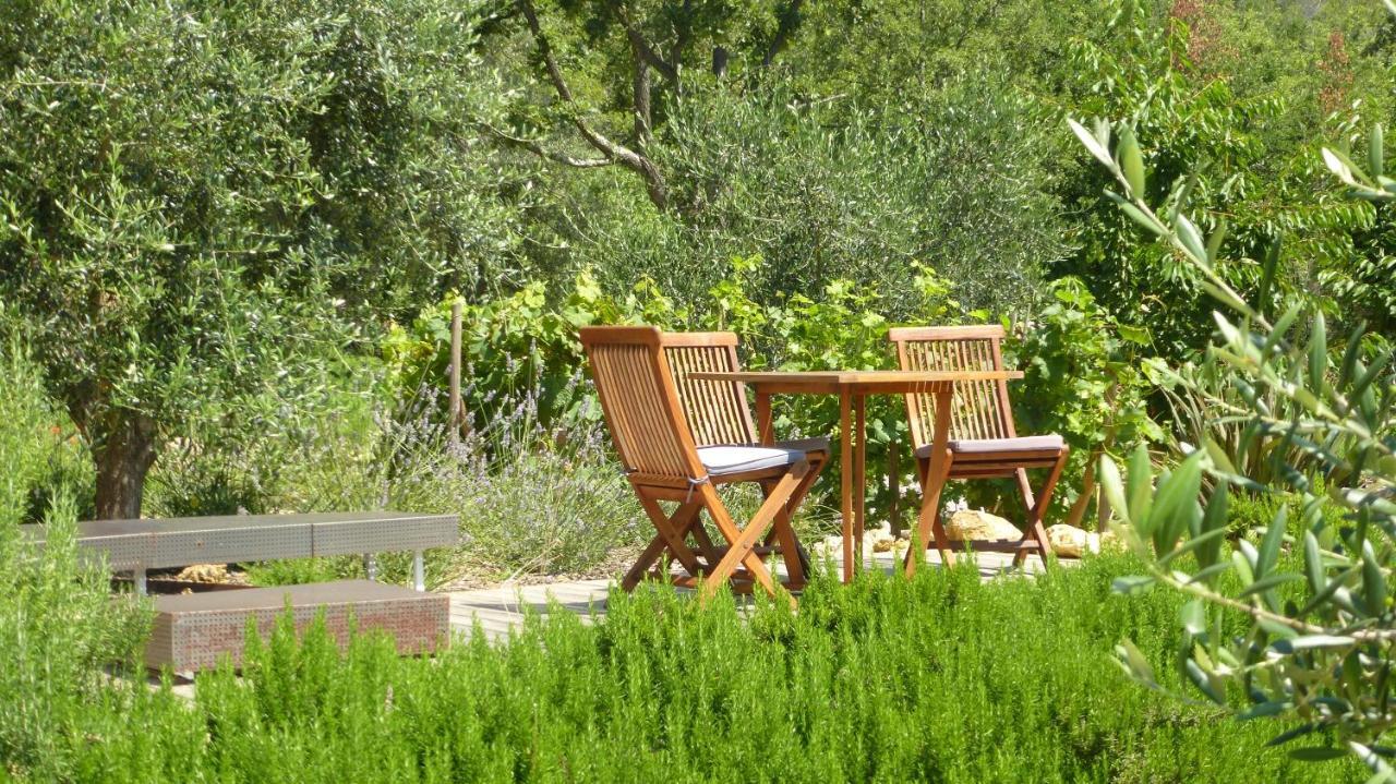 Le Vallon Des Oliviers Montauroux Zewnętrze zdjęcie
